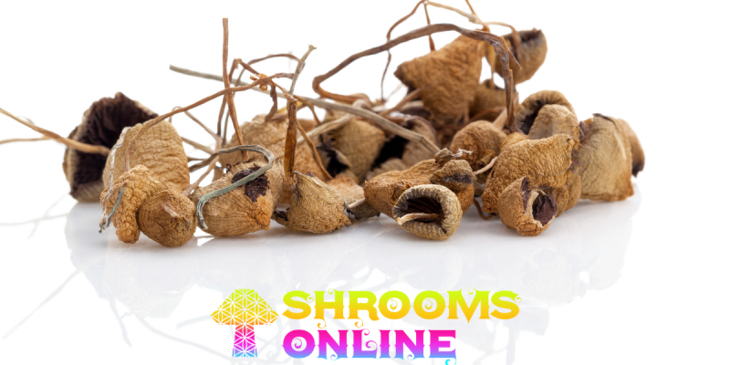 buy shrooms Canada online